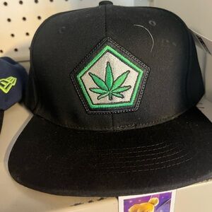 Black Cap with Green Leaf Patch